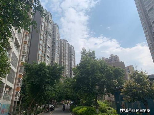 攀枝花錦泰亨房地產(chǎn)破產(chǎn)清算 一住宅39萬(wàn)元起拍，非居住房地產(chǎn)租賃同步處置